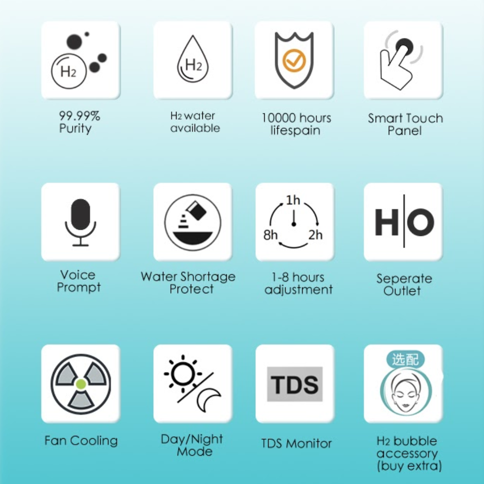 Oxy-Hydrogen Purifier (Portable)